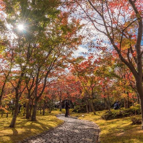 میخوام بخونم تا صدا باز بره بالا بیشتر ولی امشب شب جمعست